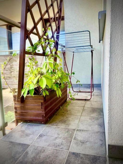 Apartament Grzegorzecka Centrum Krakow Dış mekan fotoğraf